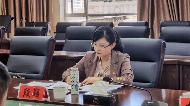 段颖 资料图