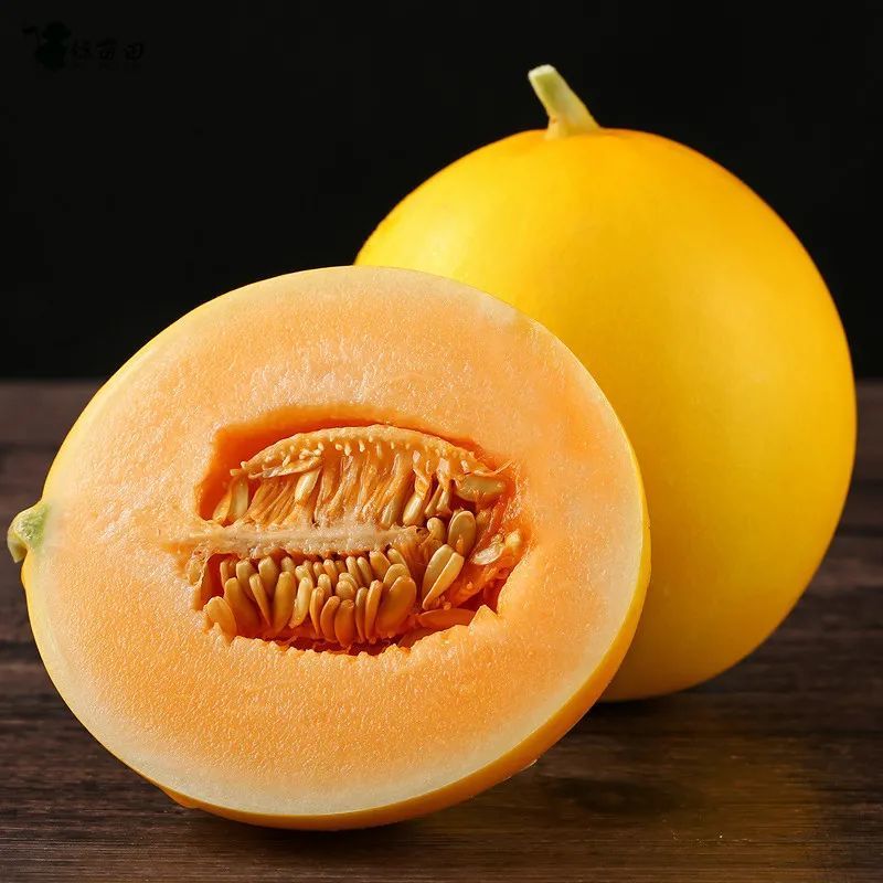 民勤蜜瓜 香飘天下