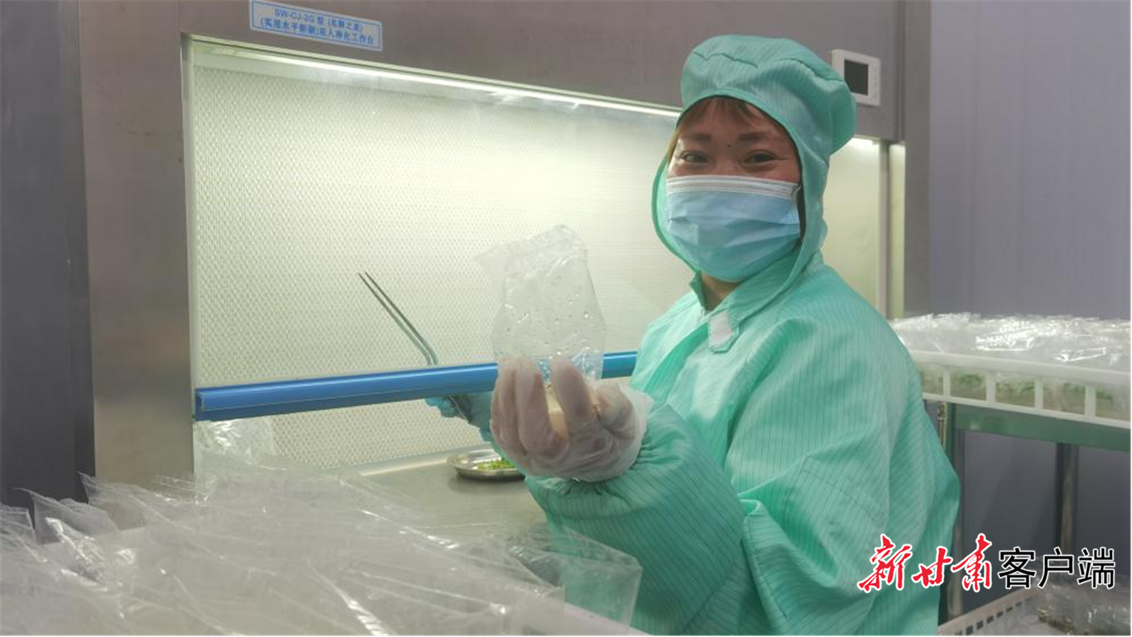 在工作台操作的工人柳云云