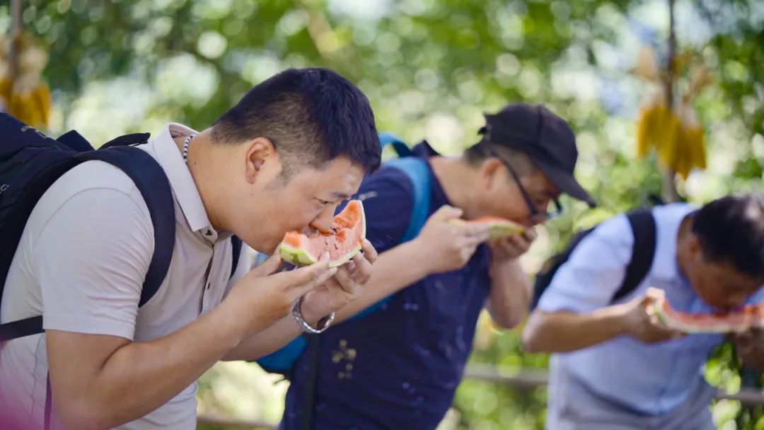 秋天从这里开始！第八届中国（篁岭）晒秋文化季启幕