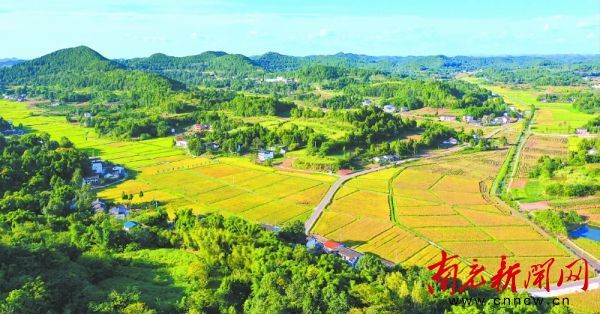 西充县义青观优质有机粮油现代农业园区。（资料图）李同周 摄