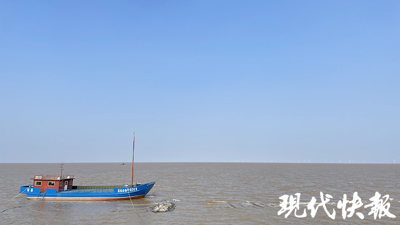 △东台条子泥湿地