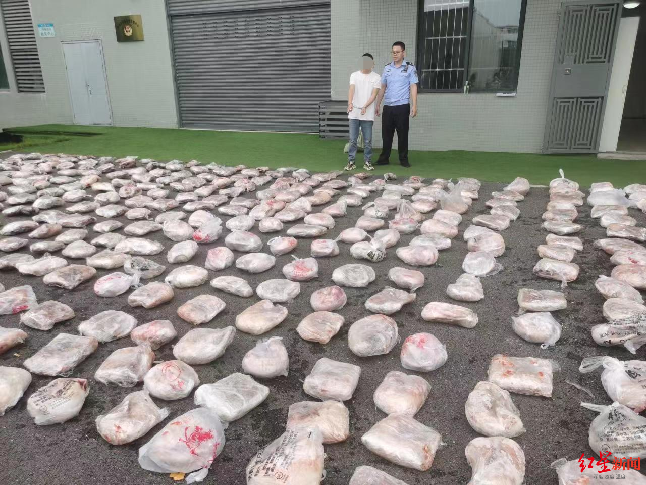 起底盗猎野生动物黑产链 总经销 今年已交易5000余斤 凤凰网