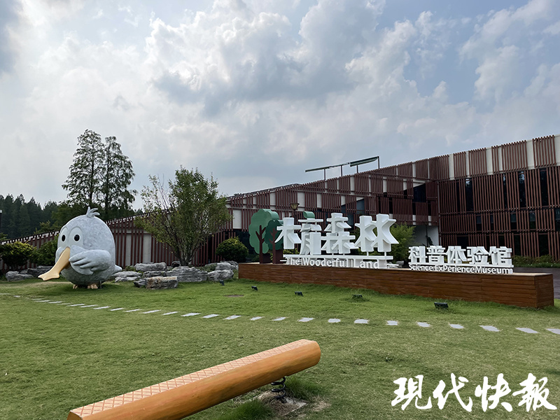 只此青绿！盐城展现“国际湿地、沿海绿城”魅力活力