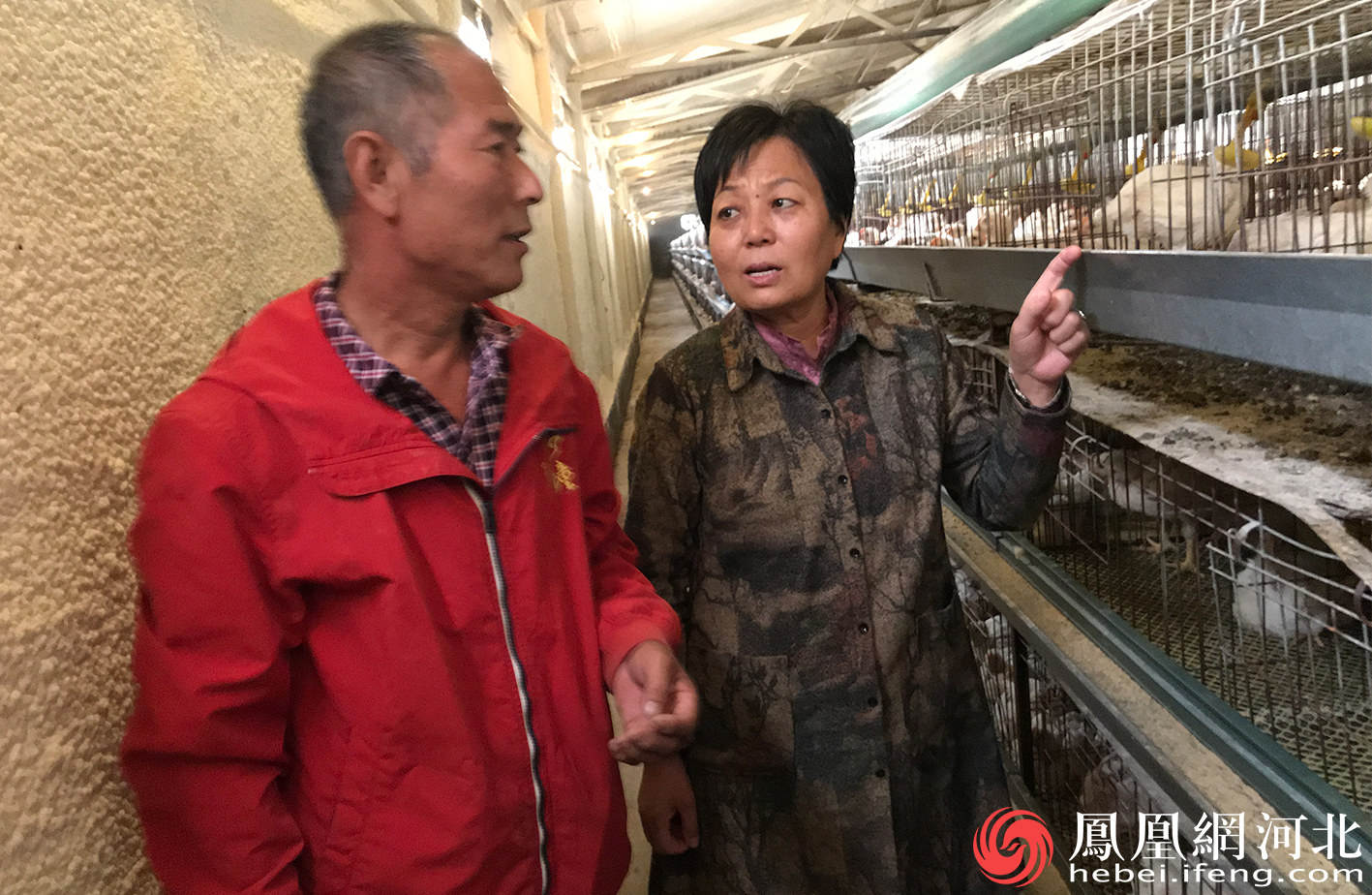 勇担使命服务“三农”  ——记最美科技工作者、河北科技师范学院教授史秋梅