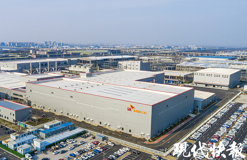 只此青绿！盐城展现“国际湿地、沿海绿城”魅力活力