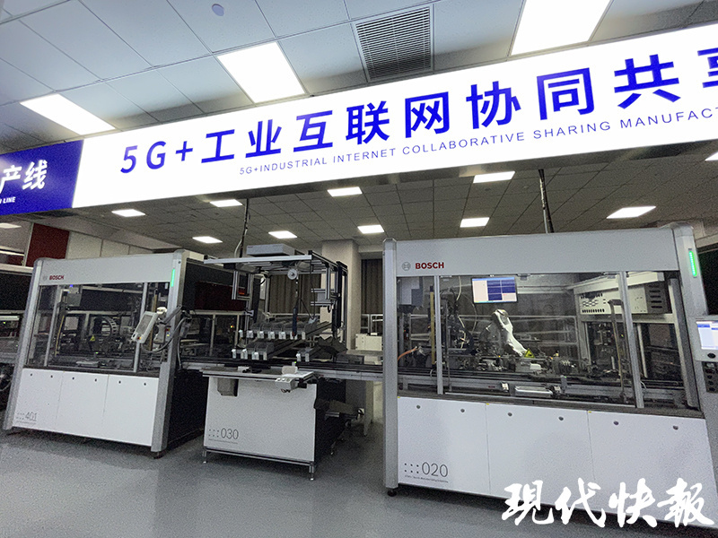 只此青绿！盐城展现“国际湿地、沿海绿城”魅力活力