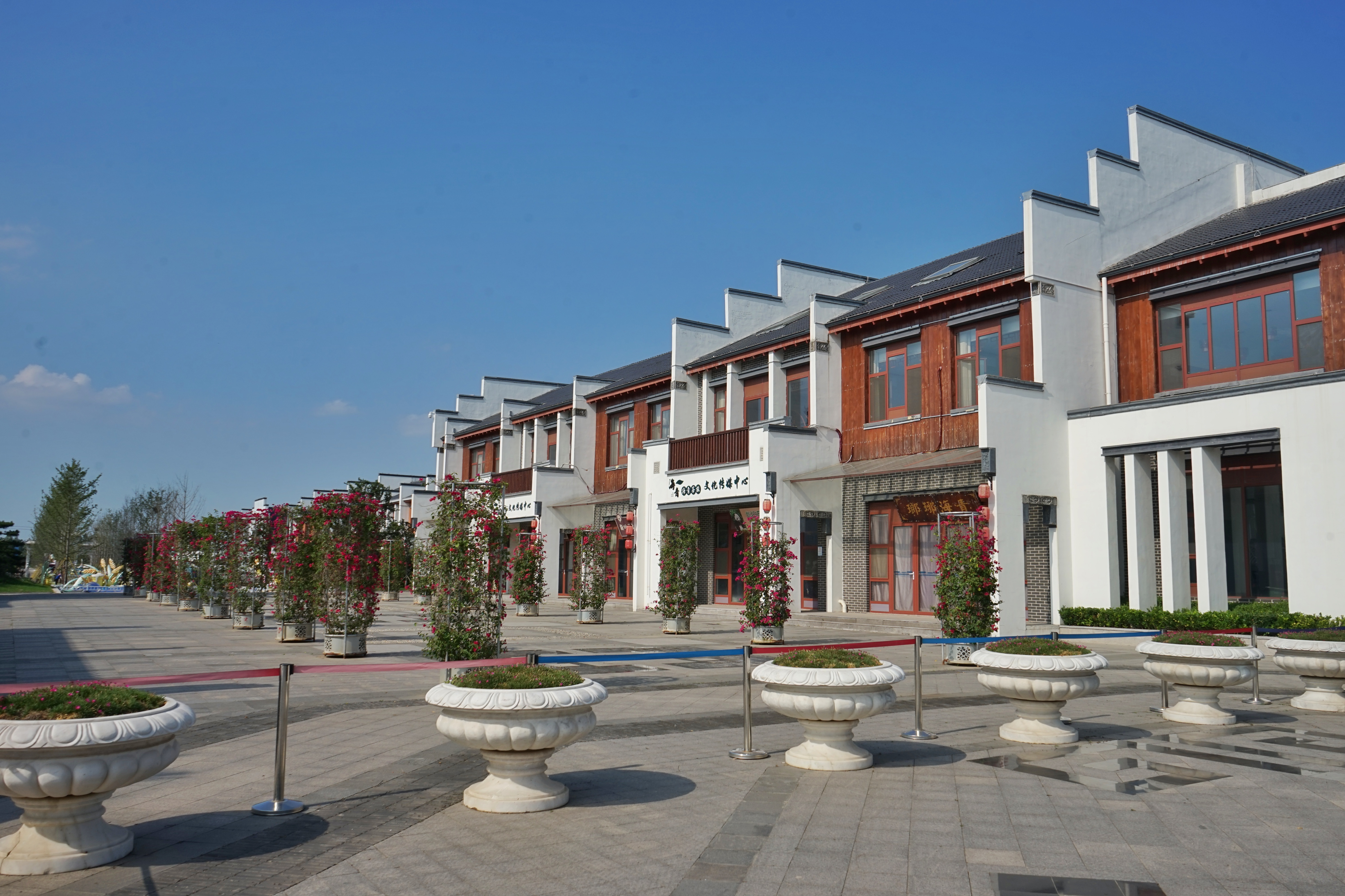 品茗赏景目的地!媒体采风团走进海青镇