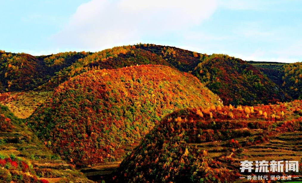▲张家川恭门镇河峪村沿途 马小龙 摄