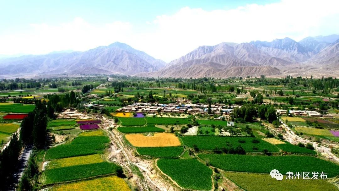 秀色可餐引来“钱景”无限！肃州庄稼人“花式”致富