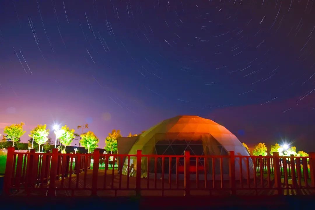 七彩灯光点亮千亩花海 栖云花田邀你赴约“光影盛宴”