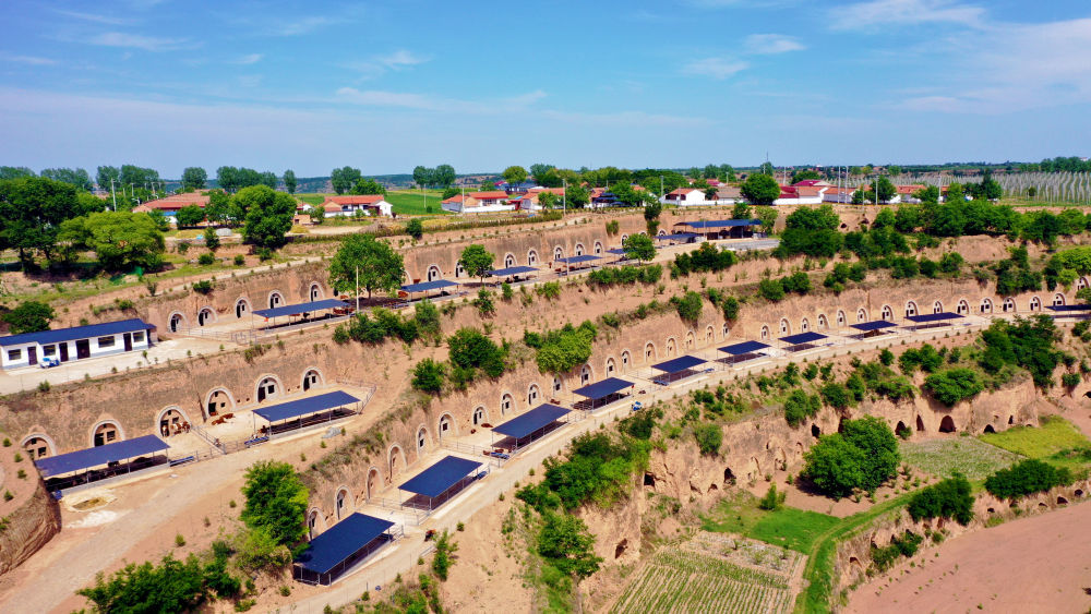 图为黄寨镇甘庄村窑洞养牛二期示范点的养殖户正在饲养红牛(图片由崇信县黄寨镇政府提供)