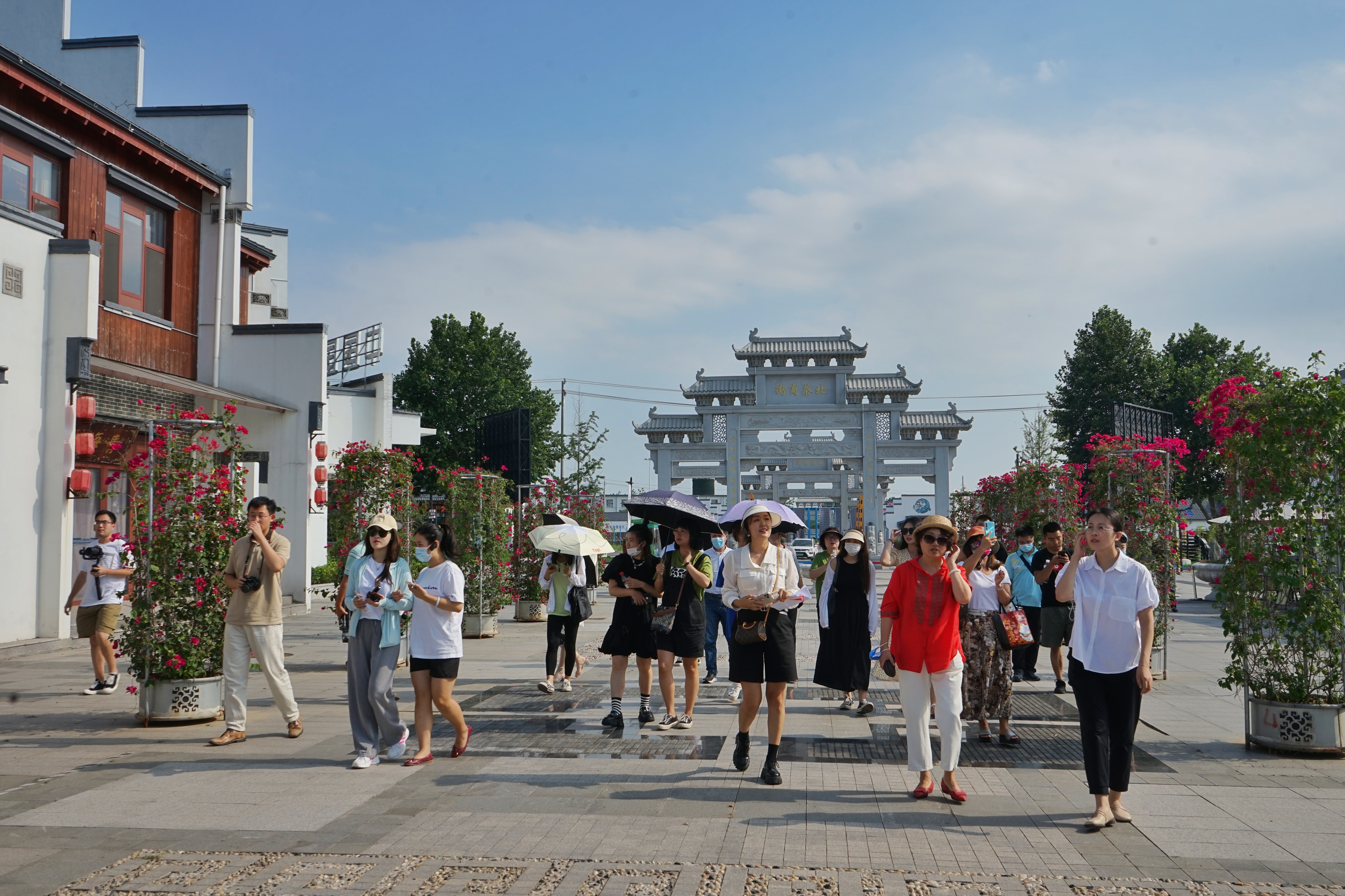 品茗赏景目的地!媒体采风团走进海青镇