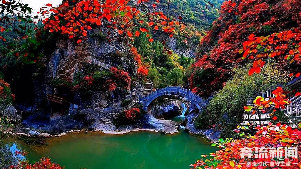 ▲西狭颂景区秋意 张平良 摄