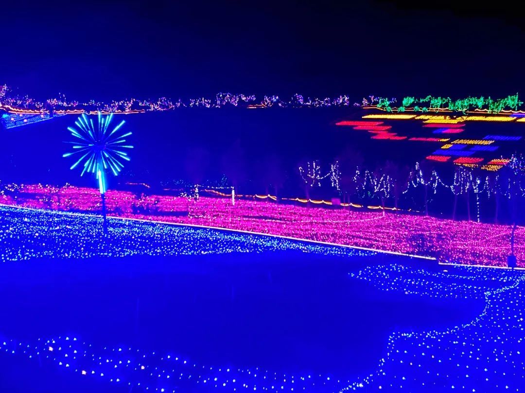 七彩灯光点亮千亩花海 栖云花田邀你赴约“光影盛宴”