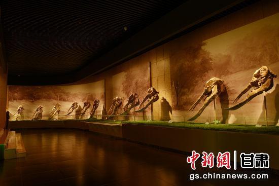 世界上最丰富的铲齿象化石