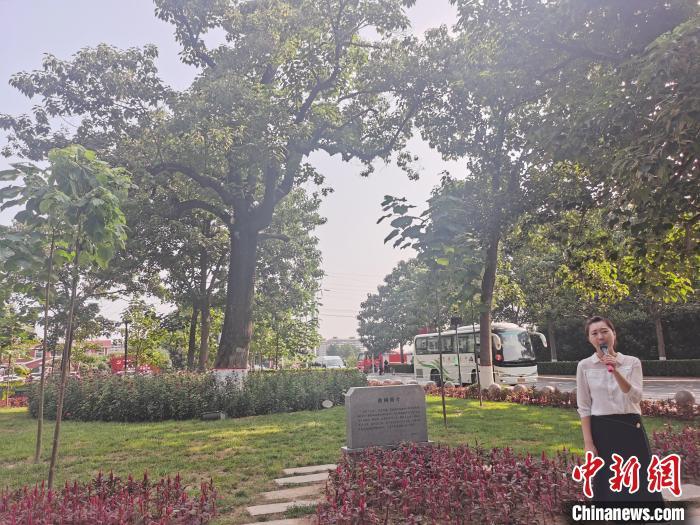 赶考路’上再寻焦裕禄”媒体采访团瞻仰“焦桐”__凤凰网