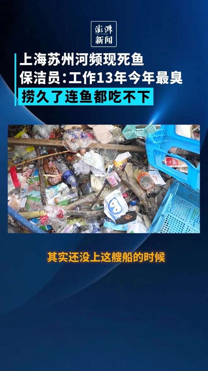 上海苏州河频现死鱼，保洁员：工作13年今年最臭，捞久了鱼都吃不下