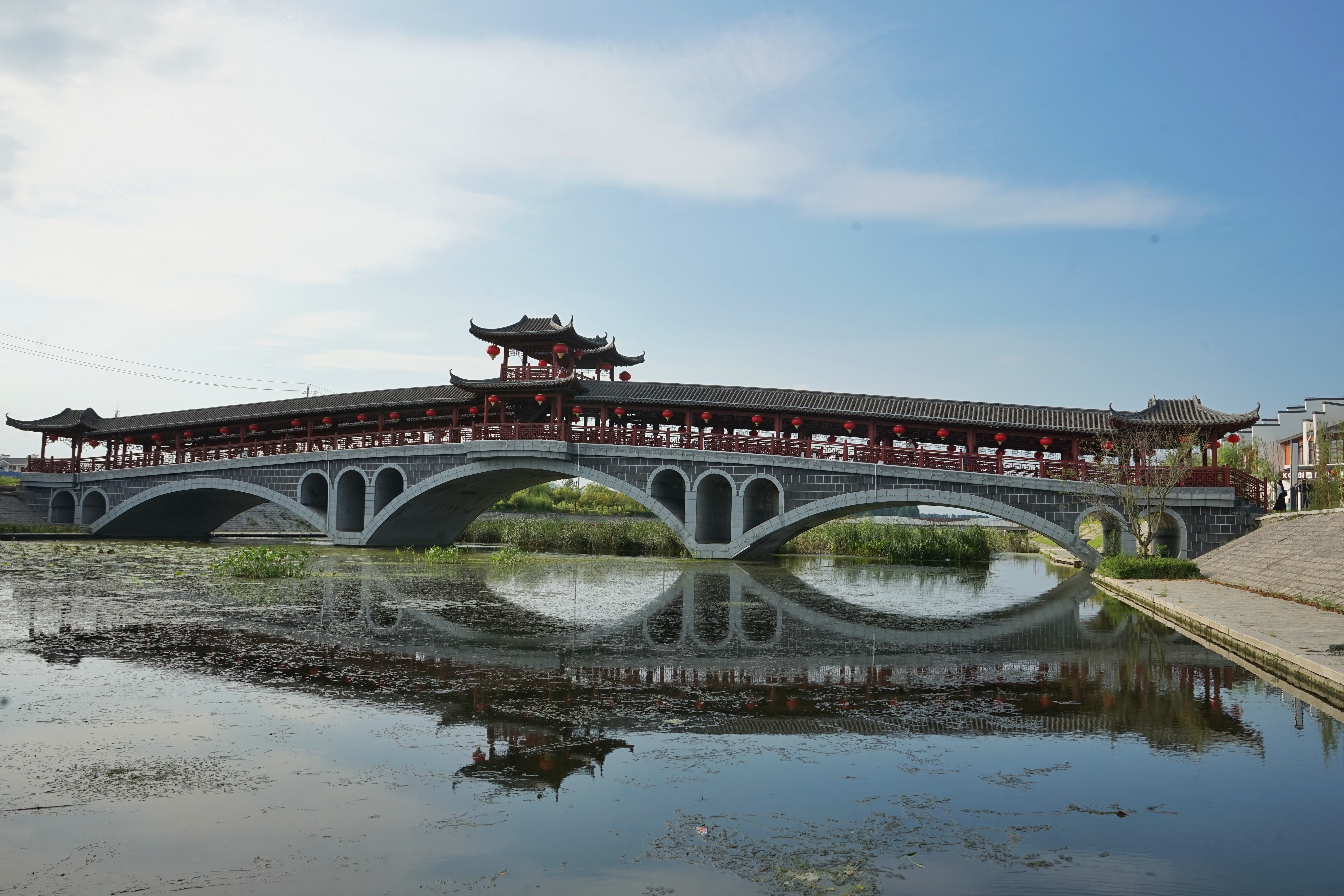 品茗赏景目的地!媒体采风团走进海青镇