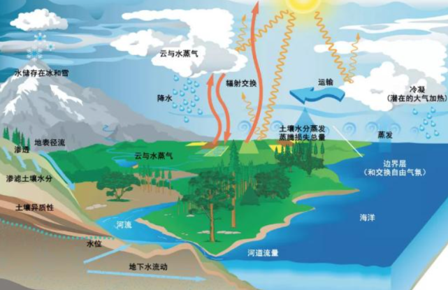 到处都在发高温,到处都在闹干旱,那么水到底去哪里了呢?