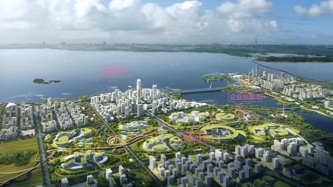 厦门东坑湾规划图图片
