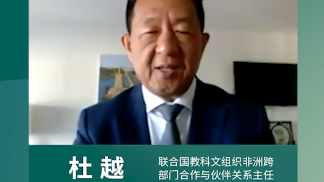 联合国教科文组织杜越指出非洲巨大人力潜能:中国能做到的,非洲应该也能做到