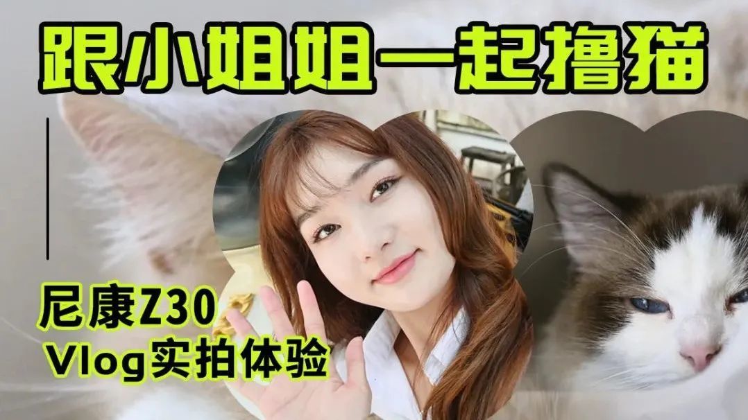 跟小姐姐一起撸猫 尼康Z30 Vlog实拍体验