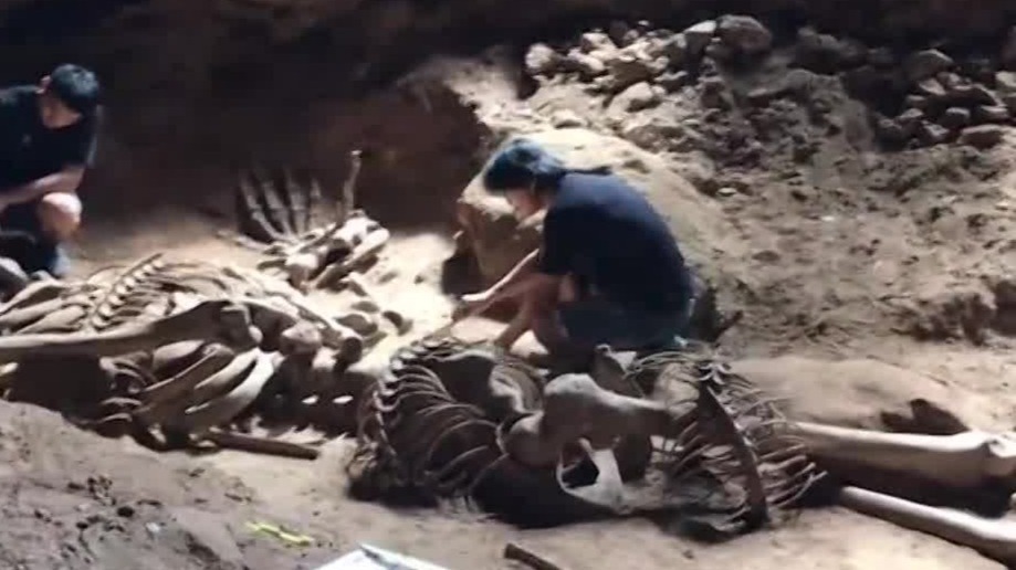 甲米府山洞里发现的完整巨人骸骨是否真实？从网传新闻视频来源着手调查