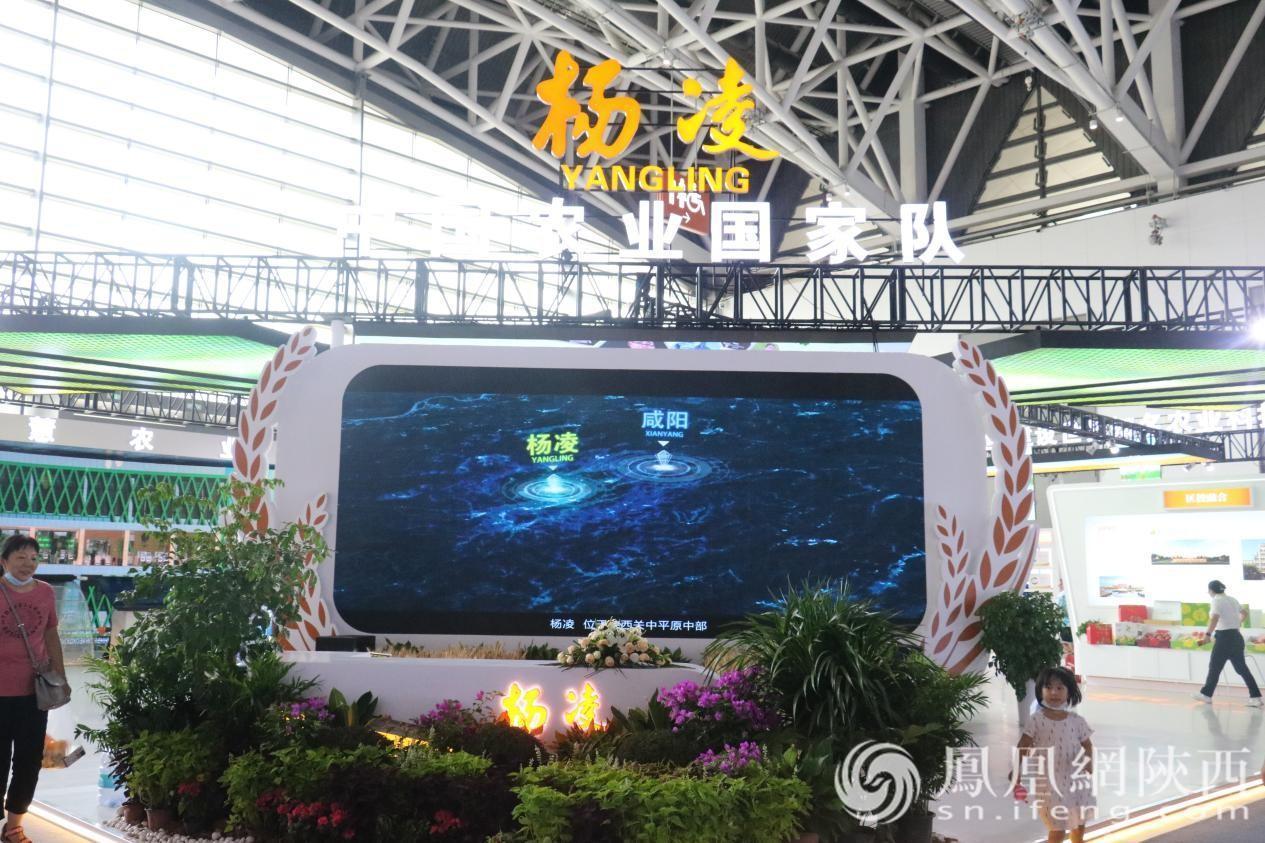 杨凌:立足现代农业“国家队” 发挥科技“大智慧”凤凰网陕西_凤凰网