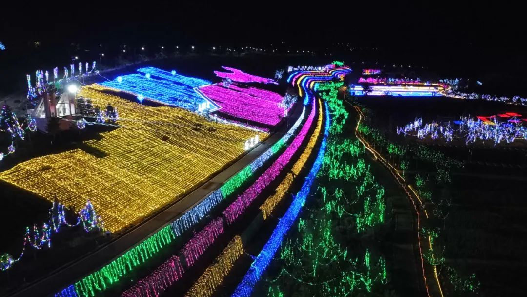 七彩灯光点亮千亩花海 栖云花田邀你赴约“光影盛宴”