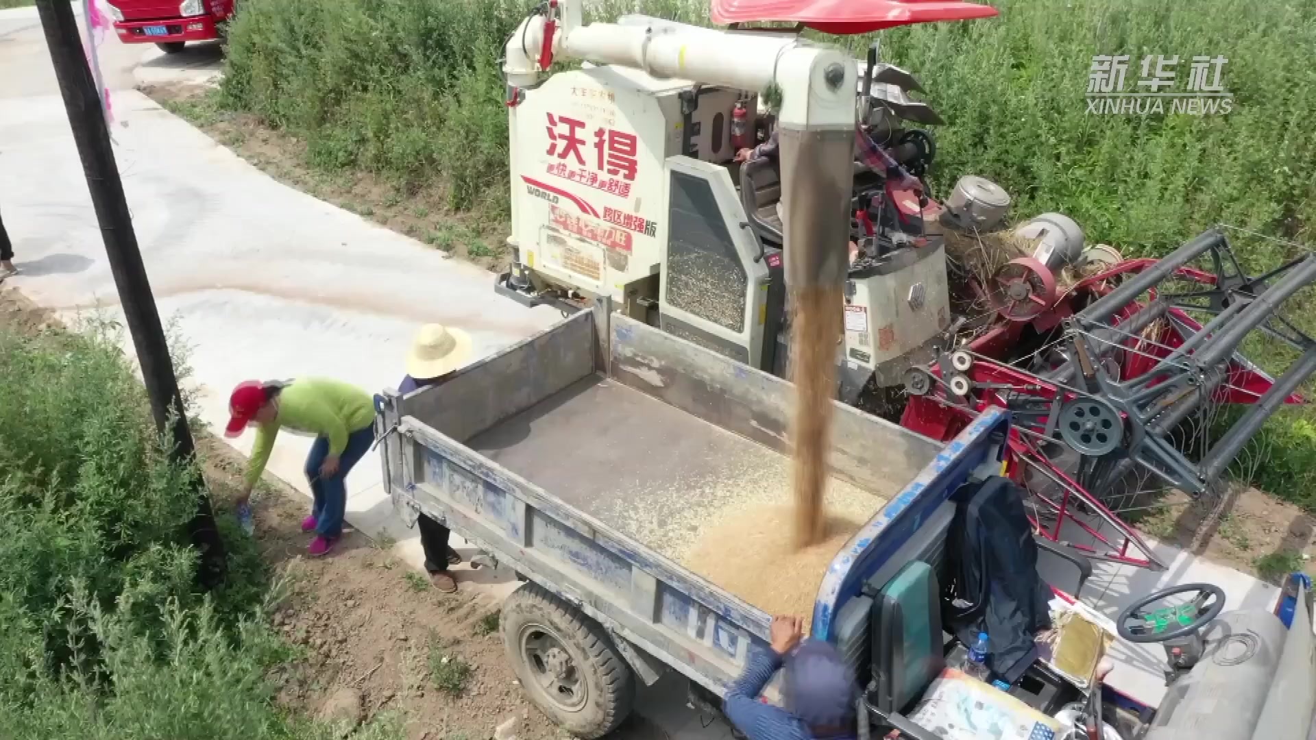 甘肃漳县：昔日撂荒地今日迎丰收