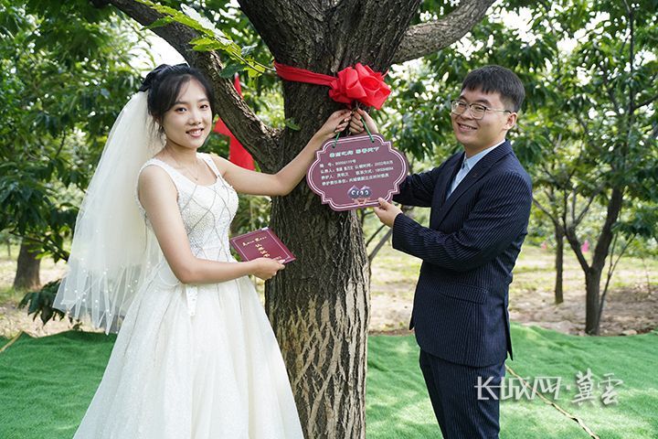 遷西縣興城鎮新立莊村,一對新人正在為認養的板栗樹掛牌.