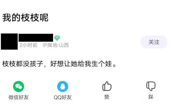 给劳荣枝洗白的人是怎么想的？