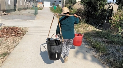 2021年9月12日,朱大红挑水浇地。新京报记者 左琳 摄