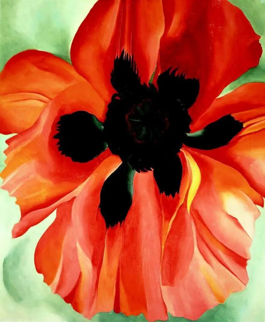 乔治亚·欧姬芙，《红色罂粟花6号》（Red Poppy, No. VI），1928年
