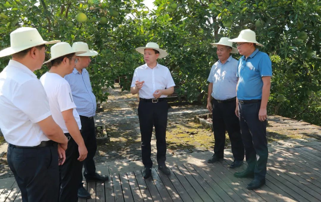 梁平区委书记钱建超:努力把高温和旱情带来的影响和损失降到最低凤凰