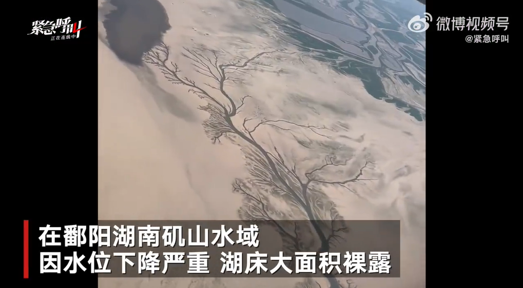 干死的河蚌随处可见！鄱阳湖渔民称20年来第一次湖上骑车