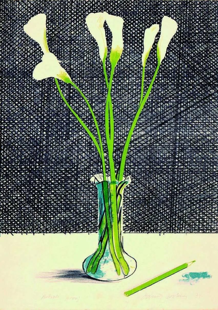 大卫·霍克尼，《马蹄莲》［Lillies [sic]］1971年