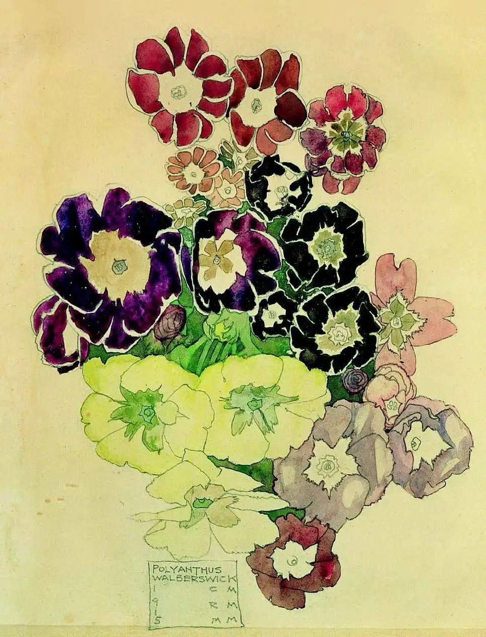 查尔斯·雷尼·麦金托什，《沃尔伯斯威克报春花》（Polyanthus Walberswick），1915年
