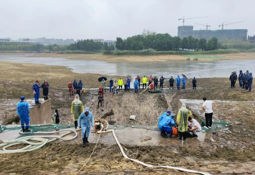 喀纳斯湖水怪是什么鱼（人文地理喀纳斯湖水怪） 第1张