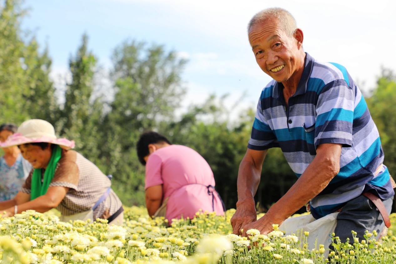 平乡县富民项目让群众鼓起腰包喜笑颜开。姚友谅摄