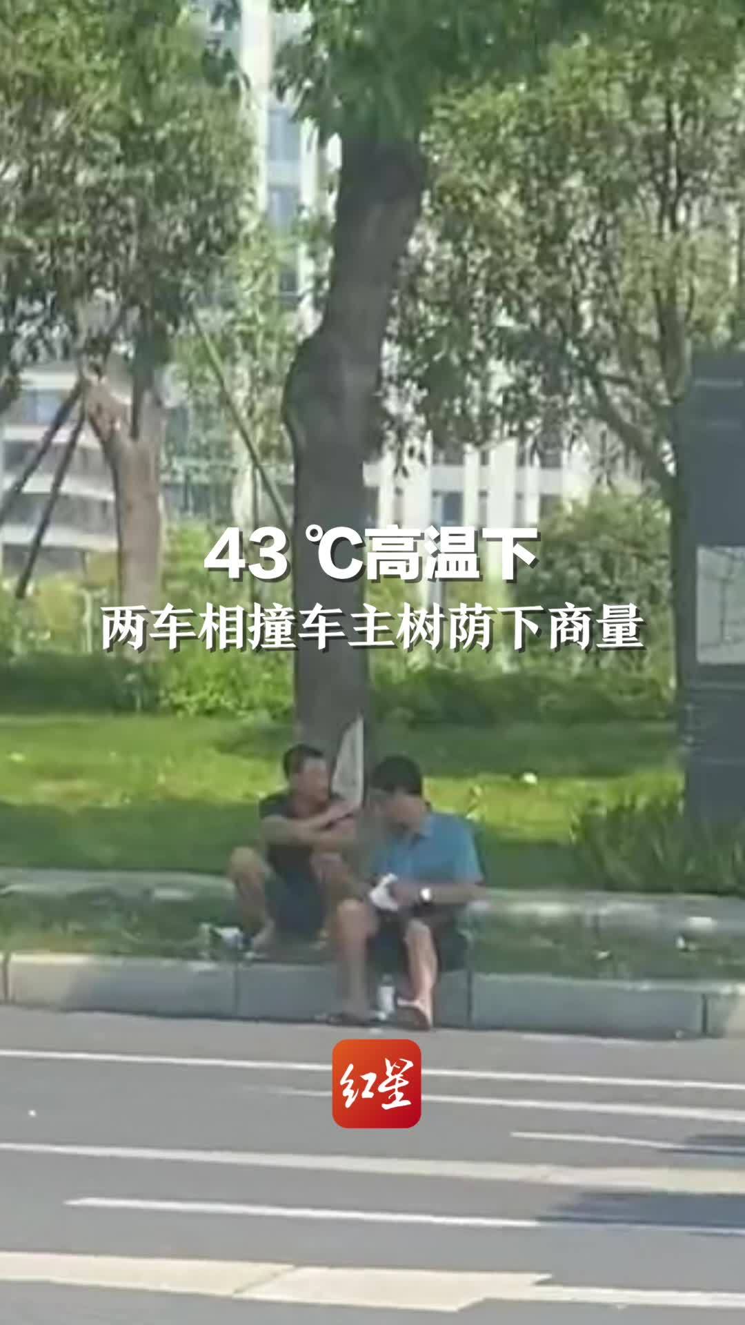 43 ℃高温下，两车相撞车主树荫下商量