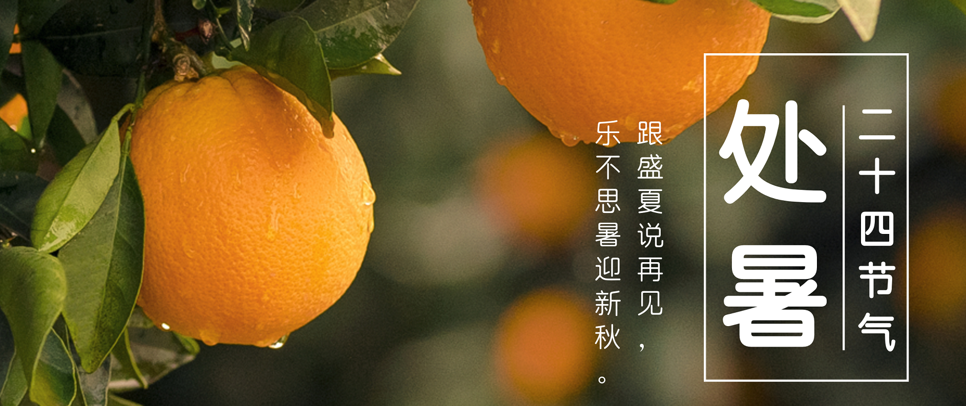 处暑养生，请牢记这三条秘诀