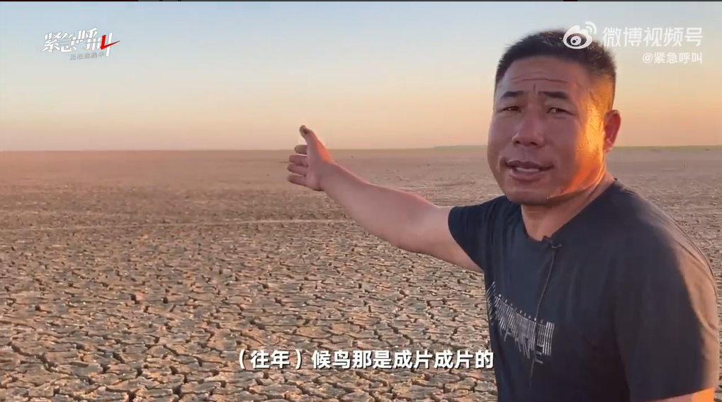 干死的河蚌随处可见！鄱阳湖渔民称20年来第一次湖上骑车