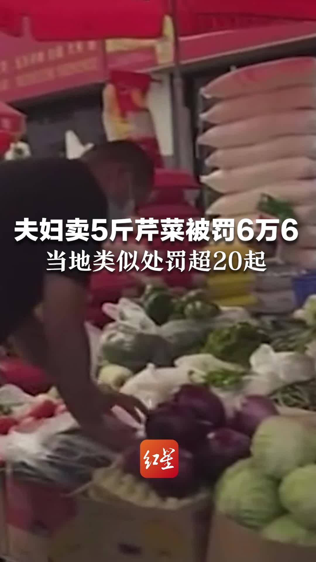 夫妇卖5斤芹菜被罚6万6，督查发现当地类似处罚超20起