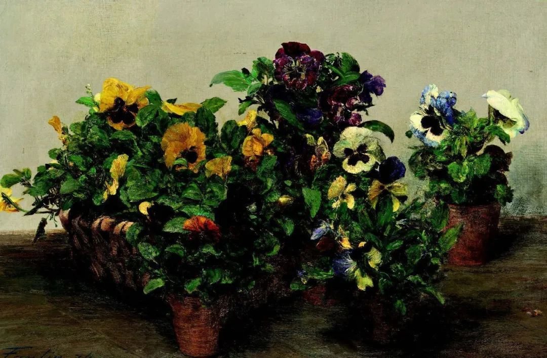 亨利·方丹·拉图尔，《三色堇》（Pansies），1874年