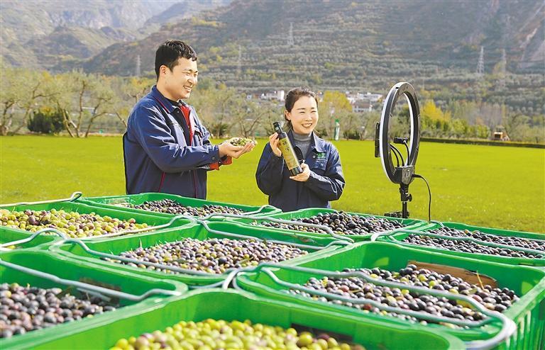 陇南商户通过直播销售橄榄油 （资料图）