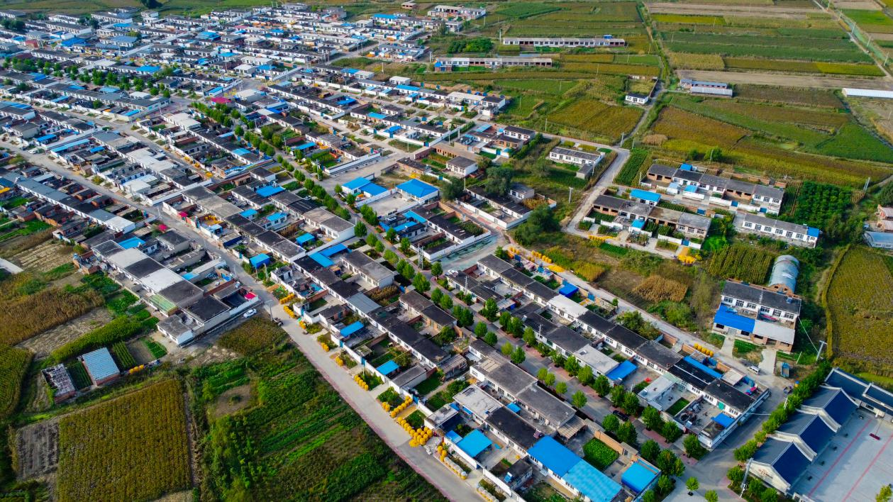 河北丰南：抒写乡村振兴宏大诗篇