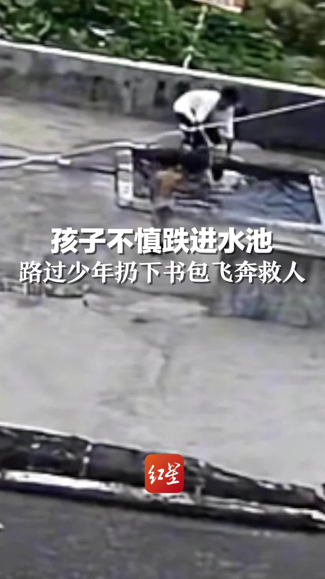 孩子不慎跌进水池，过路少年扔下书包飞奔而来，成功将孩子救上岸