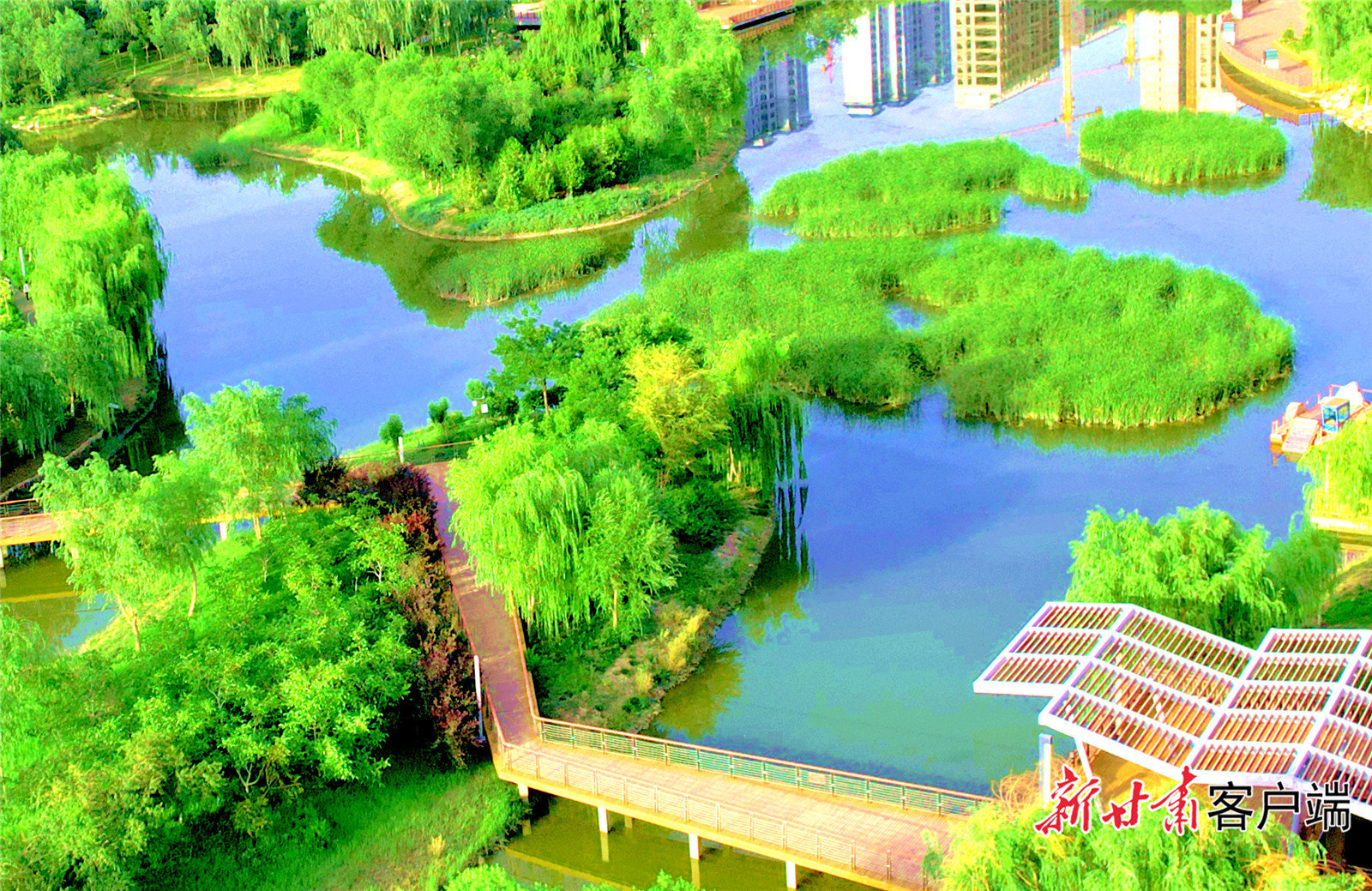 武威海藏湿地公园,碧水映柳美如画。新甘肃·甘肃日报记者 金奉乾 摄